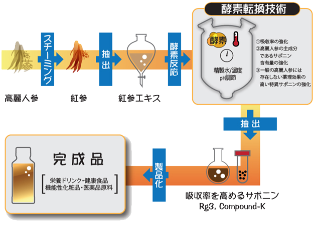 酵素紅参の製造過程